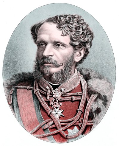 काउंट जूलियस आंद्रेसी 1823-1890, हंगेरियन स्टेट्समैन, c1880 द्वारा अज्ञात