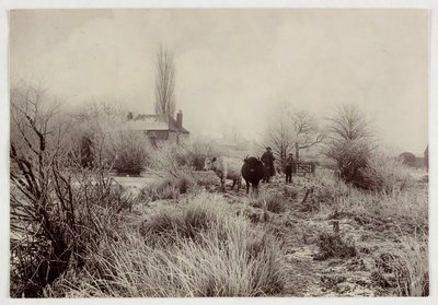 "एक ठंढे क्षेत्र में गाय", वर्स 1890 द्वारा अज्ञात