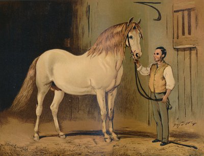 क्रीम स्टेट कैरिज हॉर्स। उसका मेजेस्टीज़ स्टड, c1879। द्वारा अज्ञात