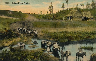 क्यूबा पैक ट्रेन, c1910 द्वारा अज्ञात