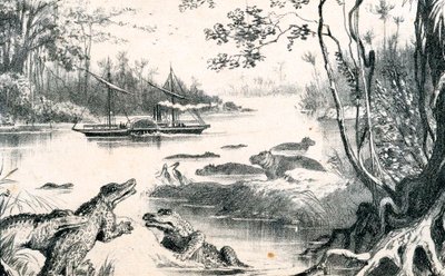 डेविड लिविंगस्टोन ने ज़ाम्बज़ी, अफ्रीका, 1852-1864 c1878 को नेविगेट किया द्वारा अज्ञात