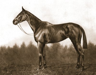 डिम्यूर, 1911। द्वारा अज्ञात