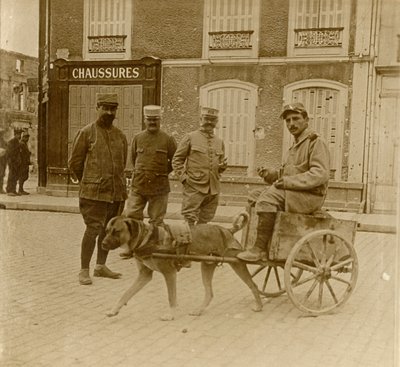 डॉग-कार्ट, फ्रांस, c1914-c1918 द्वारा अज्ञात