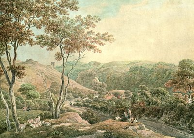 Drusllwyn Castle, Caermarthenshire, c1900। द्वारा अज्ञात