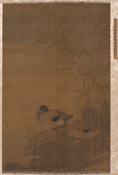 रीड्स के तहत बतख, 1400s। द्वारा अज्ञात