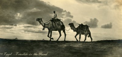 मिस्र - रेगिस्तान में घटना, c1918-c1939। द्वारा अज्ञात