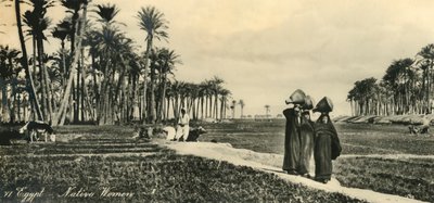मिस्र - मूल निवासी महिला, c1918-c1939। द्वारा अज्ञात