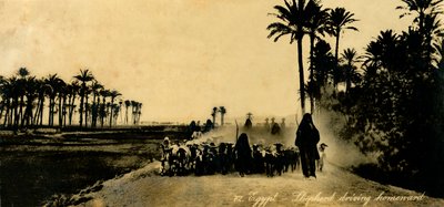 मिस्र - शेफर्ड ड्राइविंग होमवर्ड, c1918-c1939। द्वारा अज्ञात