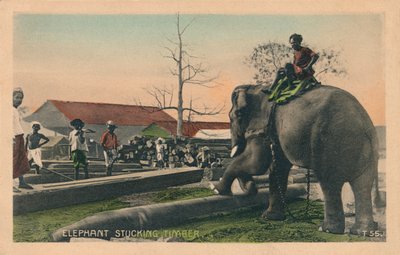 एलीफेंट स्टैकिंग टिम्बर, c1900 द्वारा अज्ञात