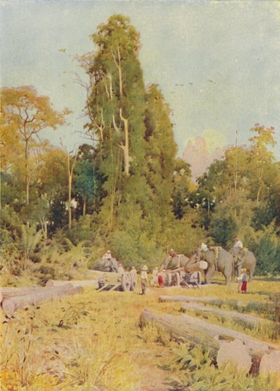 हाथी पिलिंग टीक, 1924 द्वारा अज्ञात