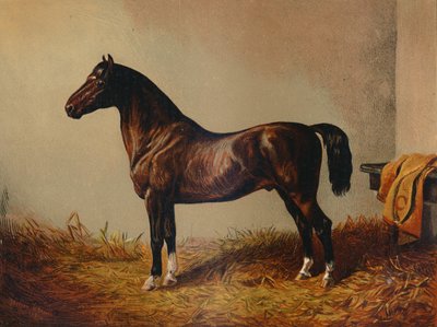 एंट्री पोनी हैक डॉन कार्लोस, सी 1897। द्वारा अज्ञात