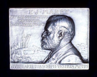 एटिने जूल्स मारे 1830-1903, फ्रेंच फिजियोलॉजिस्ट, 19 वीं शताब्दी द्वारा अज्ञात