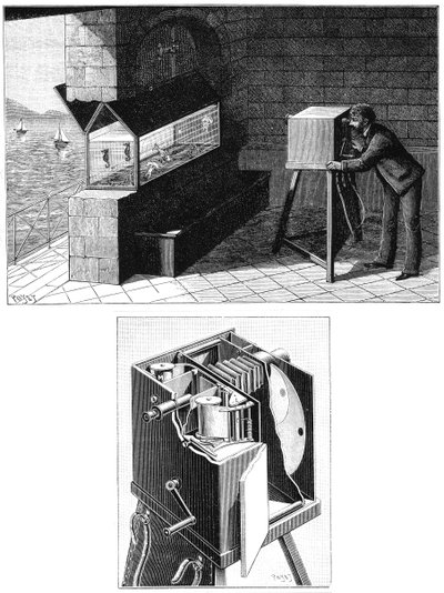एटिने जूल्स मारे 1830-1903, सिने कैमरा, 1903 के साथ द्वारा अज्ञात