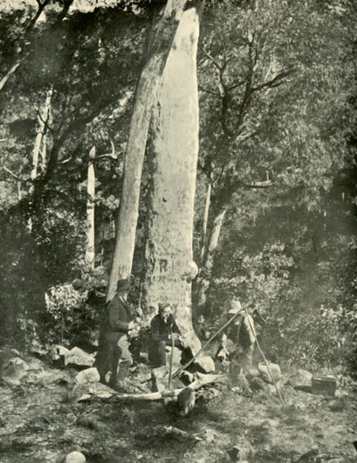 यूरोबिन फॉल्स, बफ़ेलो पर्वत, 1901। द्वारा अज्ञात