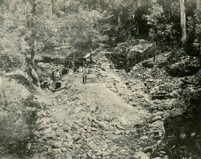 फोसिकर्स एट वर्क, 1901। द्वारा अज्ञात