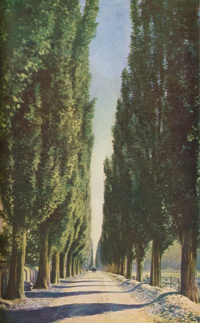 फ्रांस, c1930s द्वारा अज्ञात