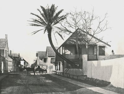 फ्रांसिस स्ट्रीट, सेंट ऑगस्टीन, यूएसए, 1895। द्वारा अज्ञात