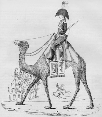 फ्रेंच डोमरी रेजिमेंट। मई 1801, 1884 में, लिबियन रेगिस्तान में एक काफिले के साथ कब्जा कर लिया गया द्वारा अज्ञात
