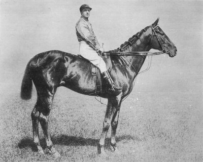 गल्ती मोर, 1894-1917, 1911 द्वारा अज्ञात