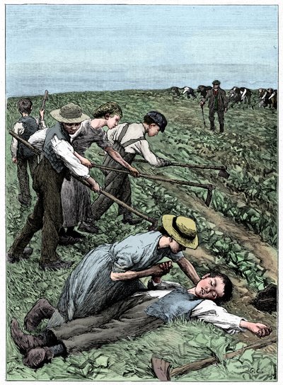 बाल श्रम की गिरोह प्रणाली, c1885 द्वारा अज्ञात