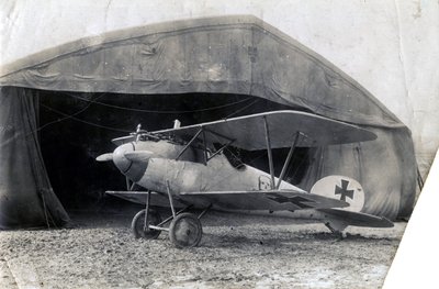 जर्मन अल्बाट्रॉस डीवी, सौली, फ्रांस, 2 जनवरी 1918 द्वारा अज्ञात