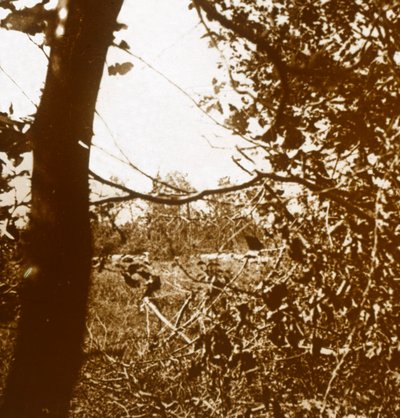 जर्मन खाइयां, c1914-c1918 द्वारा अज्ञात