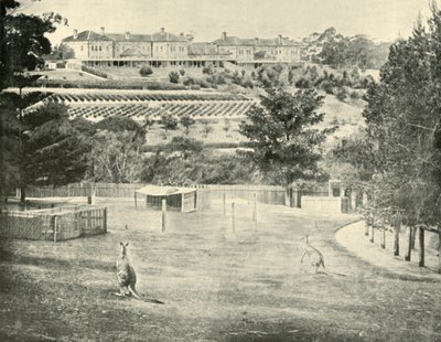 ग्लेड्सविले शरण इन्सान के लिए, न्यू साउथ वेल्स, 1901। द्वारा अज्ञात
