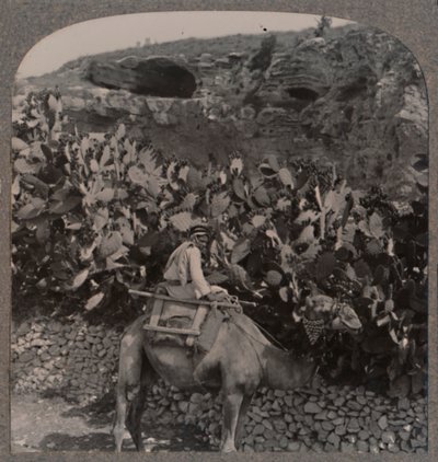 गोलगोथा द प्लेस ऑफ द स्कल, c1900 द्वारा अज्ञात