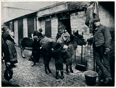 ग्राउंडिंग कॉस्टर्स गधों, लंदन, c1903 1903 द्वारा अज्ञात