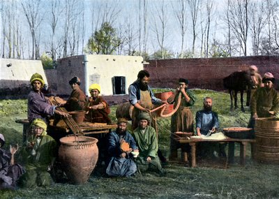 गट-ड्रेसिंग का काम, बुखारा, उज्बेकिस्तान, c1890 द्वारा अज्ञात