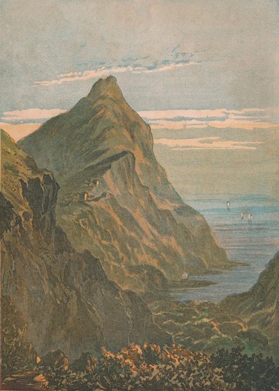 हार्टलैंड पॉइंट। क्लोवेल्ली के पास, नॉर्थ डेवोन, 1864। द्वारा अज्ञात