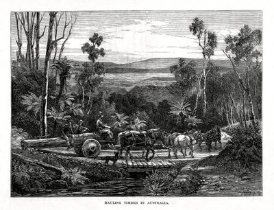 Hauling लकड़ी, ऑस्ट्रेलिया, 1877 द्वारा अज्ञात