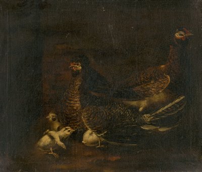 मुर्गी के साथ मुर्गी द्वारा अज्ञात