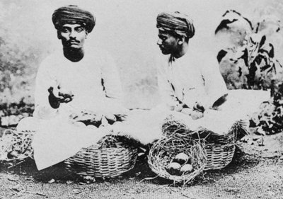 हिंदू फल विक्रेता, भारत, 20 वीं सदी द्वारा अज्ञात