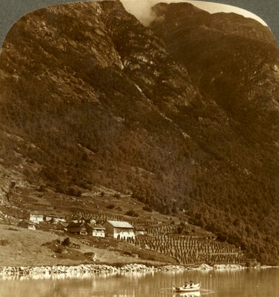 Hogrending Farm, पहाड़ों के आधार पर घोंसला, झील Loen, नॉर्वे के तट पर c1905। द्वारा अज्ञात