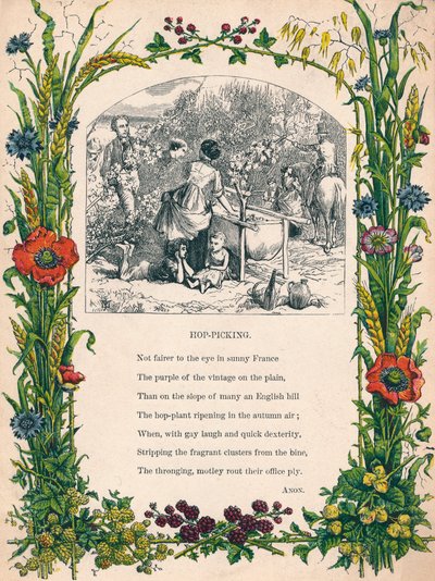 हॉप-पिकिंग, c1900 द्वारा अज्ञात