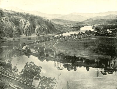 तस्मानिया में हॉप गार्डन, 1901। द्वारा अज्ञात