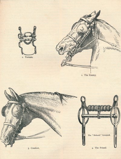 हॉर्स बिट्स, अच्छा और बुरा, c1909 c1910 द्वारा अज्ञात