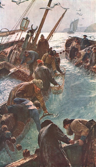 हाउ वी कैच द पिलचर्स, 1895, c1902। द्वारा अज्ञात