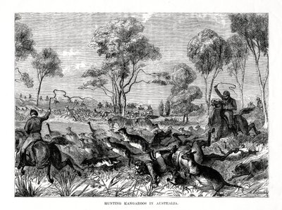 शिकार कंगारू, ऑस्ट्रेलिया, 1877 द्वारा अज्ञात