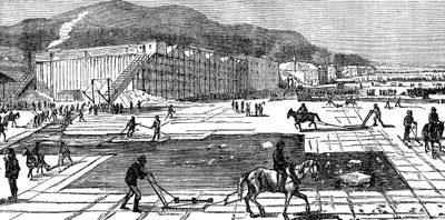 1875 में अमेरिका के न्यूयॉर्क के पास हडसन नदी पर बर्फ का जमाव द्वारा अज्ञात
