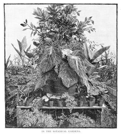 द बॉटनिकल गार्डन में, 1886 द्वारा अज्ञात