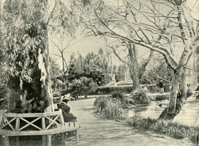 बोटैनिक गार्डन, एडिलेड, 1901 में। द्वारा अज्ञात