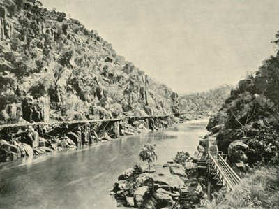 मोतियाबिंद कण्ठ में, 1901। द्वारा अज्ञात