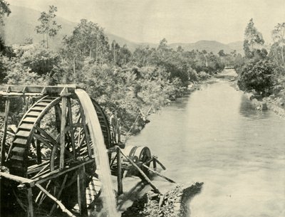 ओवेन्स नदी में, जर्मनटाउन, 1901। द्वारा अज्ञात