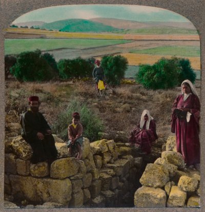 शेफर्ड्स फील्ड में, बेथलहम, c1900 द्वारा अज्ञात