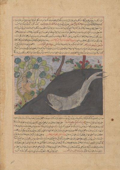 जोनाह और व्हेल, इतिहास के एक मजमा 'अल-तवारिख संग्रह से फोलियो..., ca. 1425. द्वारा अज्ञात