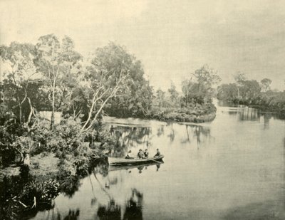 ग्लेनगार्री और थॉम्पसन नदियों का जंक्शन, विक्टोरिया, 1901। द्वारा अज्ञात