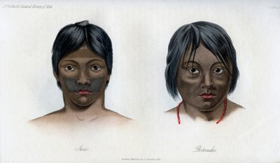 ब्रूसिलियो-गुआरानी राष्ट्र की जूरी और बोटोकुडोस, 1848 द्वारा अज्ञात
