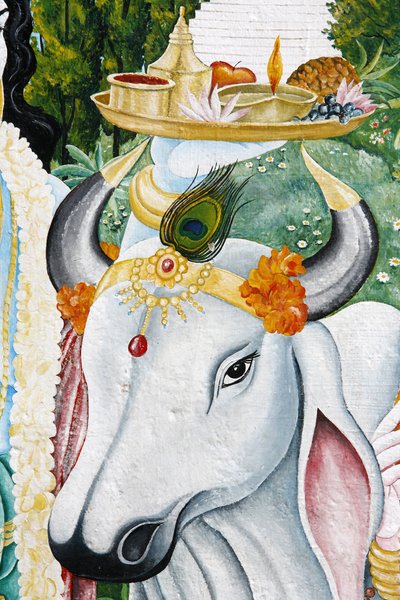 कामधेनु पवित्र गाय, काठमांडू, नेपाल द्वारा अज्ञात
